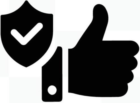core value icons_shutterstock_2484381171 do the right thing